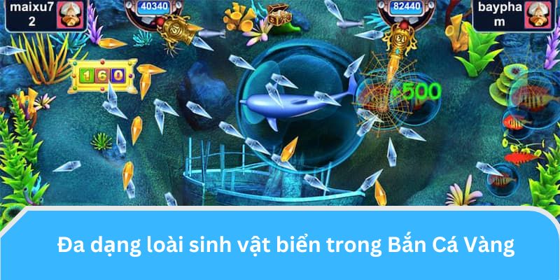 Đa dạng loài sinh vật biển