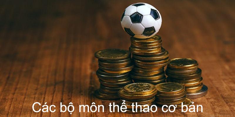 Các bộ môn thể thao cơ bản