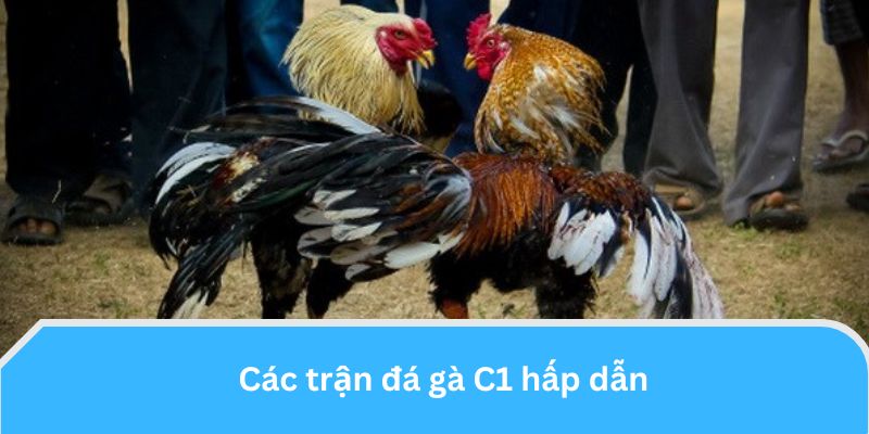 Các trận đấu hấp dẫn