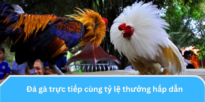 Tỷ lệ trả thưởng cực cao