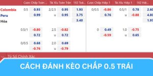 Hướng dẫn chơi kèo 1/2 Handicap qua ví dụ cụ thể