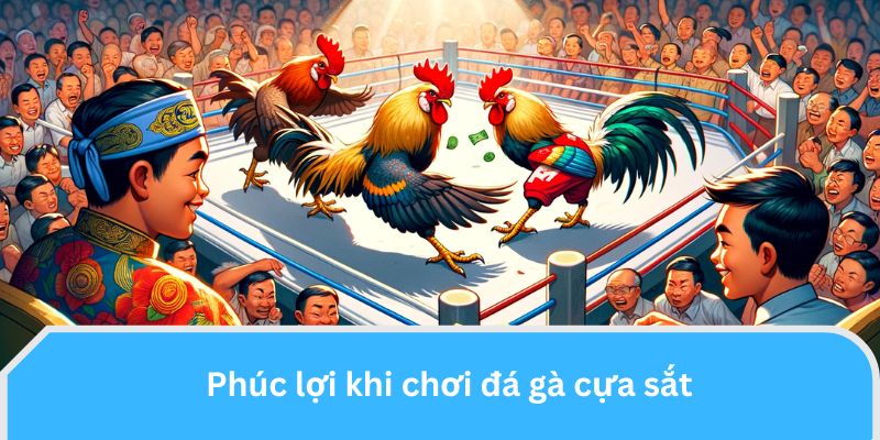 Phúc lợi khi chơi đá gà cựa sắt