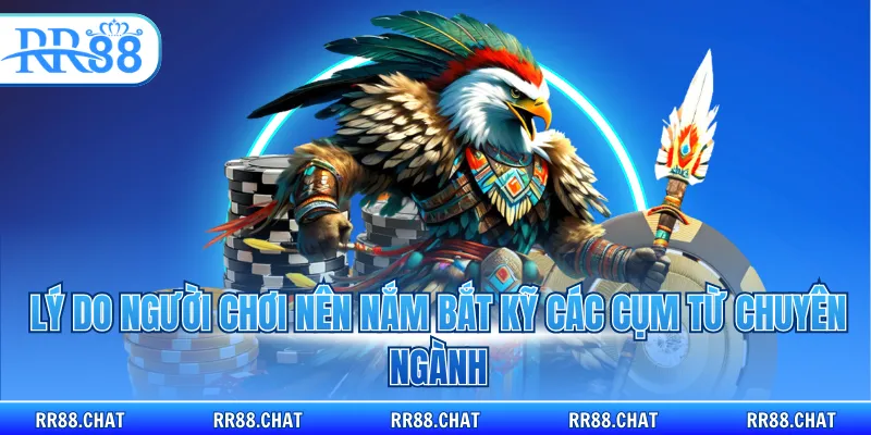 Lý do người chơi nên nắm bắt kỹ các cụm từ chuyên ngành