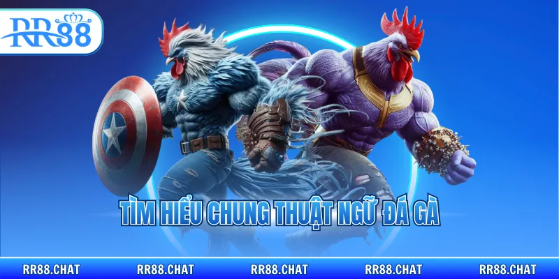 Tìm hiểu chung thuật ngữ đá gà