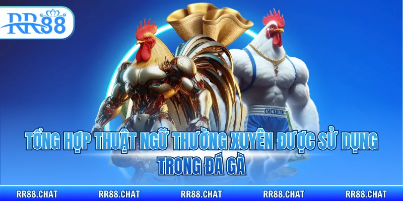 Tổng hợp thuật ngữ thường xuyên được sử dụng trong đá gà